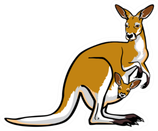 Kangaroo Female With Joey  In Pouch Sticker
