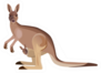 Kangaroo Mother Carrying A Baby In Its Pouch Sticker