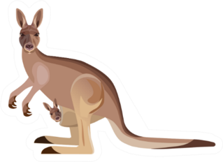 Kangaroo Mother Carrying A Baby In Its Pouch Sticker