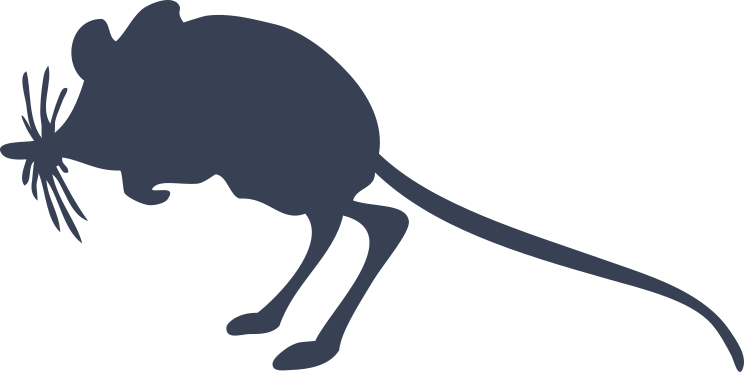 Kangaroo Mouse Sticker