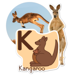 Kangaroo Thumbnail