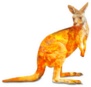 Kangaroo Wildlife In The Australian Bushfires In 2020 Sticker