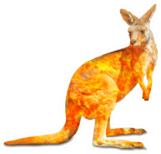 Kangaroo Wildlife In The Australian Bushfires In 2020 Sticker