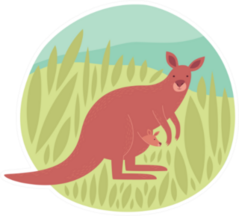 Kangaroo With Baby Illustration In Circle Sticker