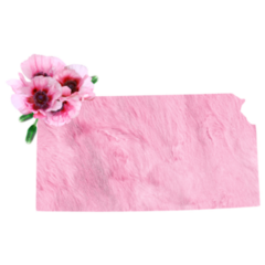 Kansas Pink Floral State Sticker