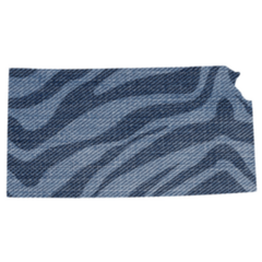 Kansas Zebra Print State Outline Sticker