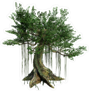 Kapok Tree Sticker