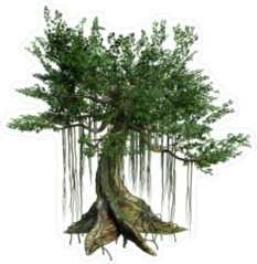 Kapok Tree Sticker