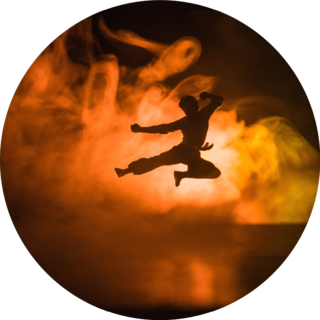 Karate Athletes Fighting Scene Sticker