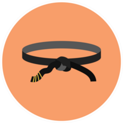 karate Belt Colored Icon Sticker
