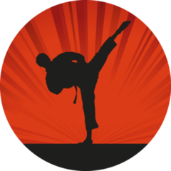 Karate Silhouette Vibrant Background Sticker