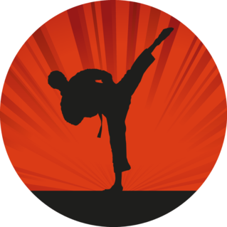 Karate Silhouette Vibrant Background Sticker