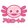 Kawaii Axolotl Japanese Sticker