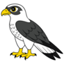 Kawaii Hawk Sticker