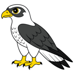 Kawaii Hawk Sticker