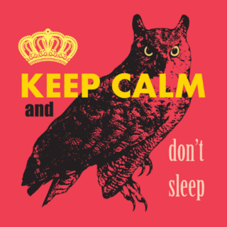 Keep Calm And Dont Sleep Sticker