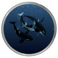 Killer Whale Family Circle Sticker