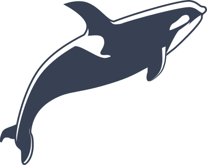 Killer Whale Jumping Sticker