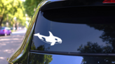 Killer Whale Smiling Sticker on a Rear Car Window (New) example