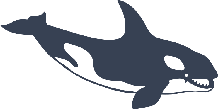 Killer Whale Smiling Sticker