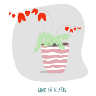 King of Hearts Indoor Plant Illustration Sticker