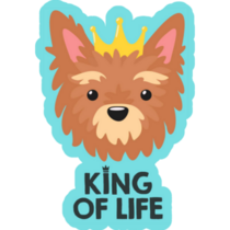 King Of Life Yorkie Sticker