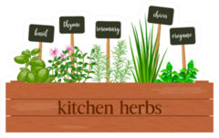 Kitchen Herbs Sticker