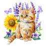 Kitten In Lavender Sticker