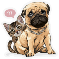 Kitten & Pug Sticker