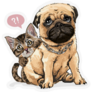 Kitten & Pug Sticker