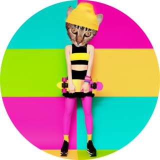 Kitty Skater Sticker