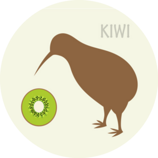 Kiwi Bird And Kiwi Fruit New Zealand Sticker