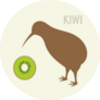 Kiwi Bird And Kiwi Fruit New Zealand Sticker