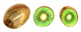 Kiwi Fruit Sticker