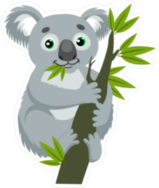 Koala Bear On Eucalyptus Branch Sticker