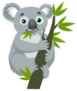 Koala Bear On Eucalyptus Branch Sticker