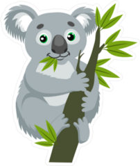 Koala Bear On Eucalyptus Branch Sticker