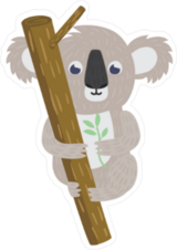 Koala Bear On Tree Branch Sticker