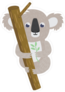 Koala Bear On Tree Branch Sticker