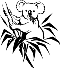 Koala Eating Eucalyptus Sticker