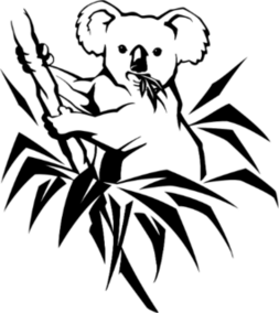 Koala Eating Eucalyptus Sticker