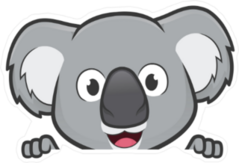 Koala Looking Over Edge Sticker