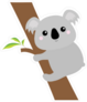 Koala on Eucalyptus Tree Sticker