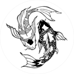 Koi Carp Yin Yang Circle Sticker