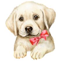 Lab Pup In Bow Sticker