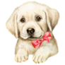Lab Pup In Bow Sticker