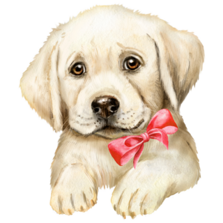 Lab Pup In Bow Sticker