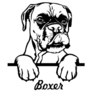 Labeled Boxer Sticker