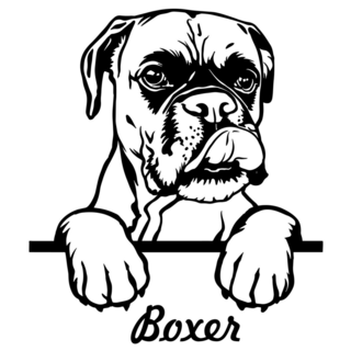 Labeled Boxer Sticker