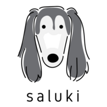 Labeled Saluki Sticker